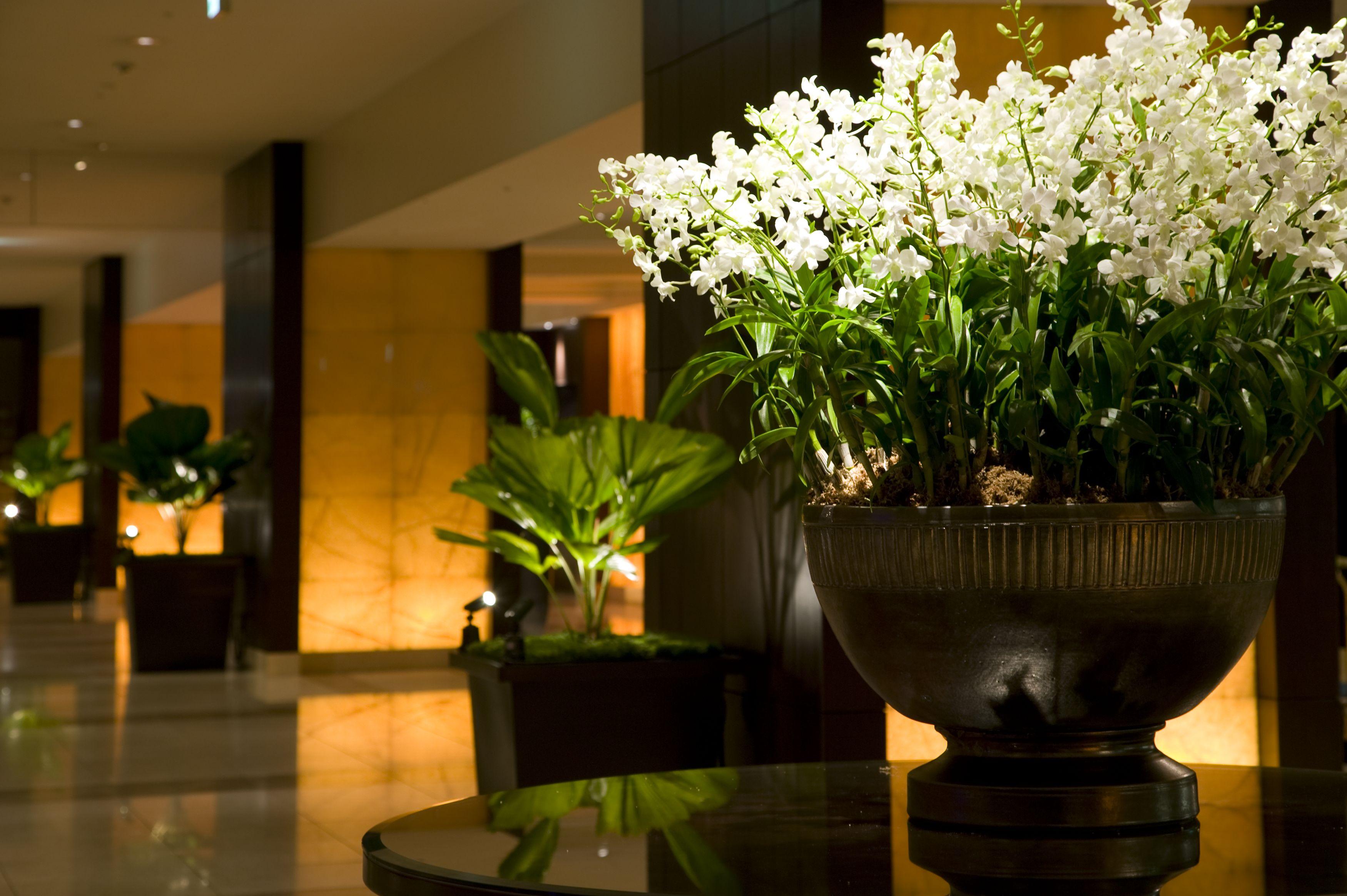 Sheraton Miyako Hotel Osaka Eksteriør billede